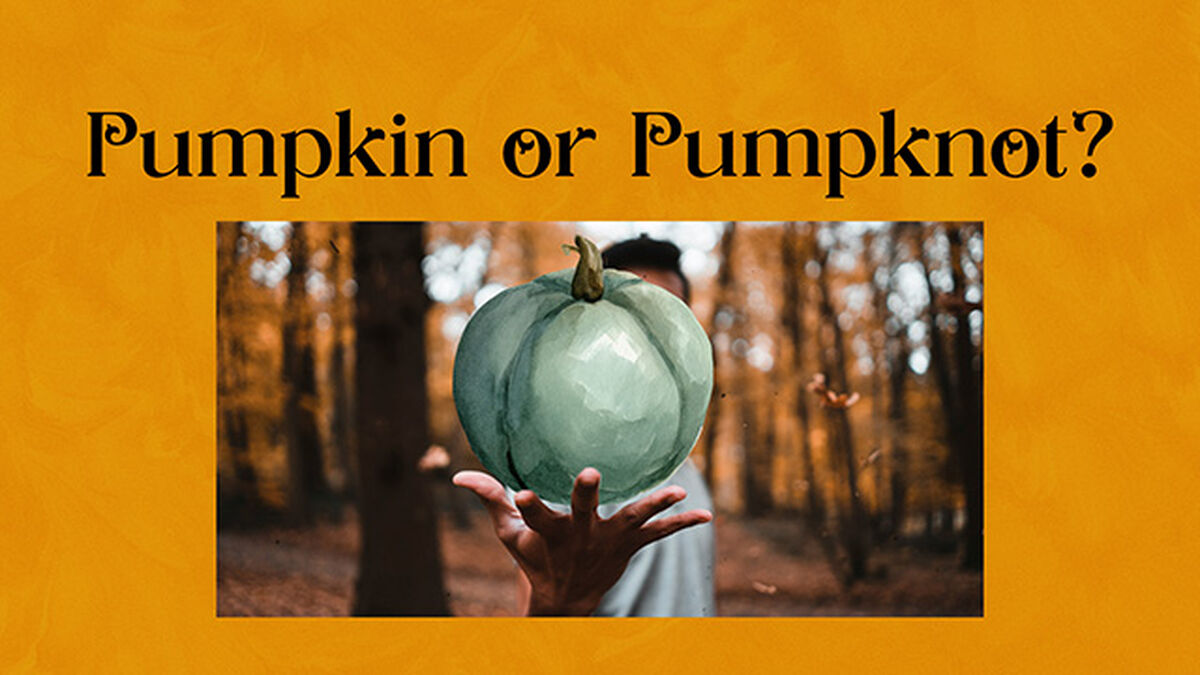 Pumpkin or Pumpknot image number 4